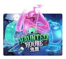 Haunted House - IDAGENT138
