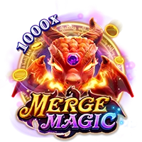 MERGE MAGIC - IDAGENT138